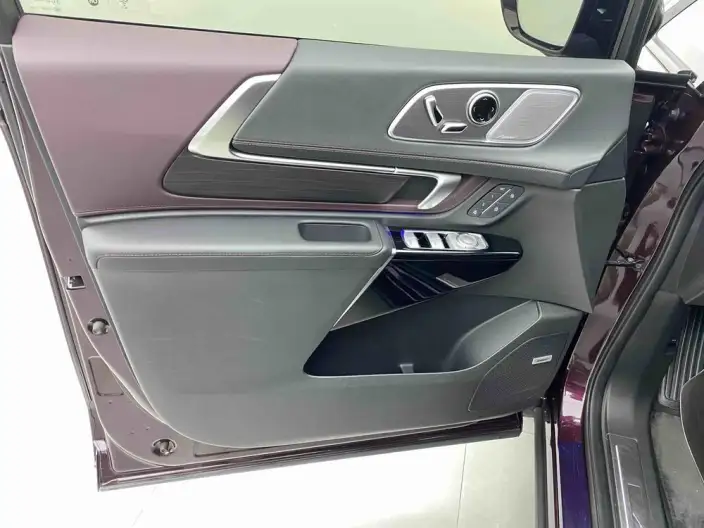 Century 2023 Model 2.0T VII seat Yunshi Edition – фото 10