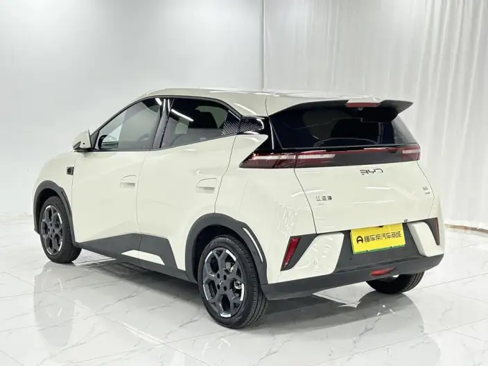 BYD Seagull 2025 Model Smart Driving Edition 305KM Free Edition – фото 5