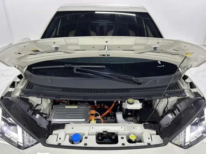 BYD Seagull 2025 Model Smart Driving Edition 305KM Free Edition – фото 10