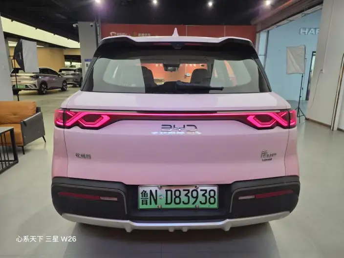 Yuan UP 2025 Model Smart Driving Edition 401KM Leading Model – фото 5