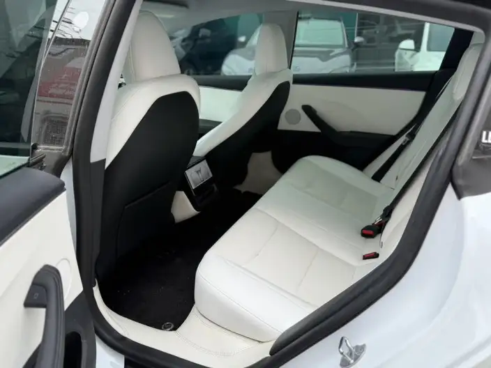 Model 3 2025 Model Rear-wheel drive version – фото 9