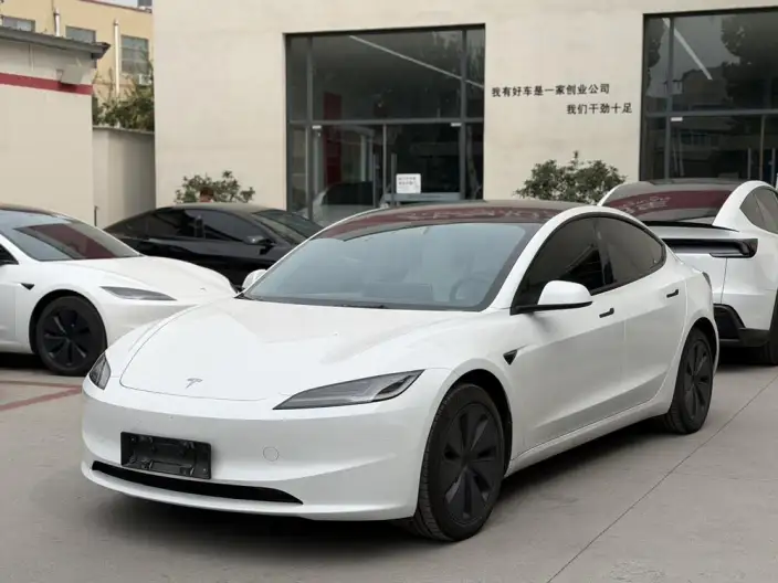 Model 3 2025 Model Rear-wheel drive version – фото 10