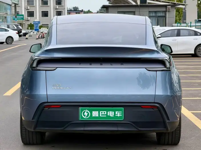 Model Y 2025 Model Long Battery Life Pro All-wheel drive version – фото 5