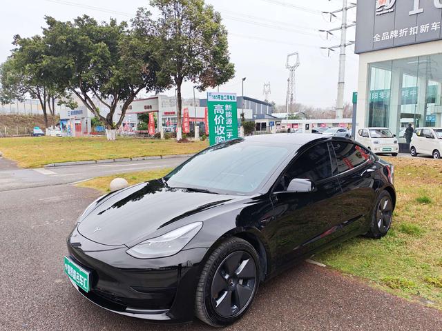 Tesla Model 3 2022 RWD – фото 1