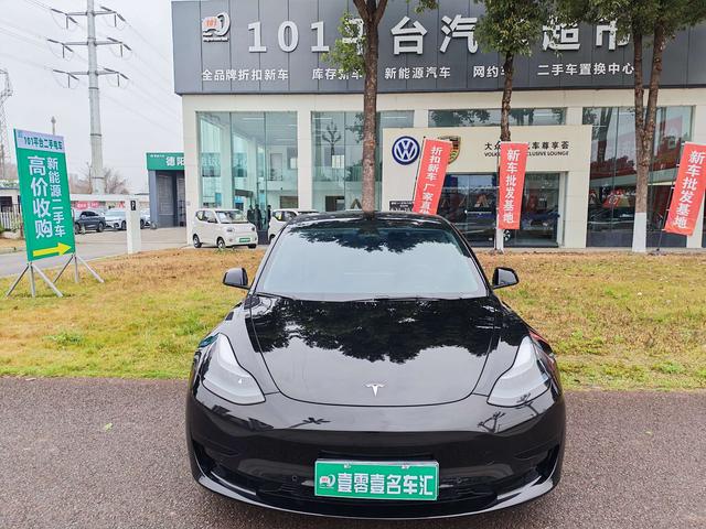 Tesla Model 3 2022 RWD – фото 2