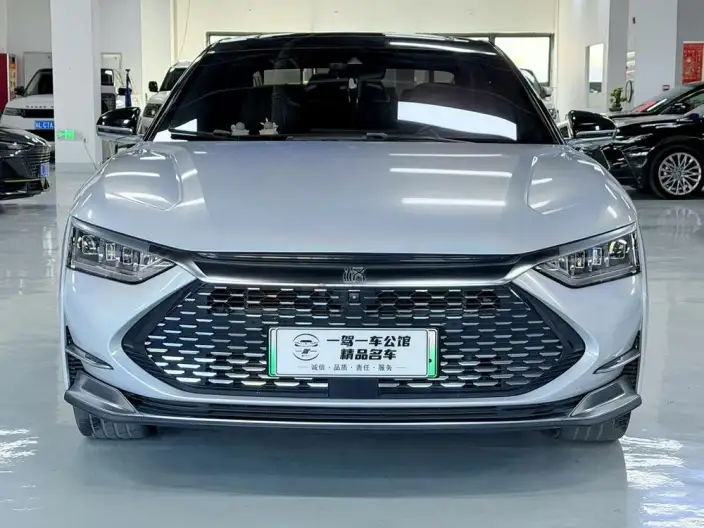 BYD Han DM 2020 Model DM 4WD performance version Noble Model – фото 2