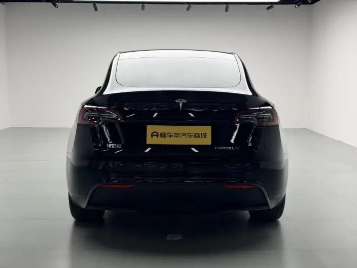 Model Y 2024 Model Rear-wheel drive version – фото 6