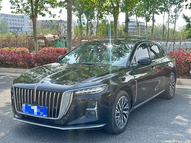 Hongqi H5 2025 2.0T Automatic Flag Smooth – фото 1