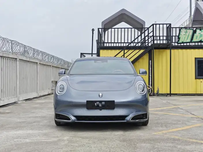 ORA Grand Cat 2022 Model 555km Premium Edition – фото 2