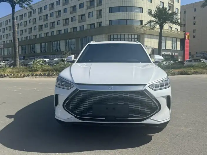 BYD Song PLUS DM 2021 Model DM-i 110KM 2WD Flagship Model – фото 2