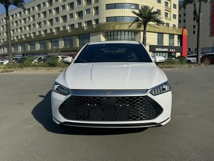 BYD Qin PLUS DM 2023 Model DM-i Champion Edition 120KM Leading Model – фото 2