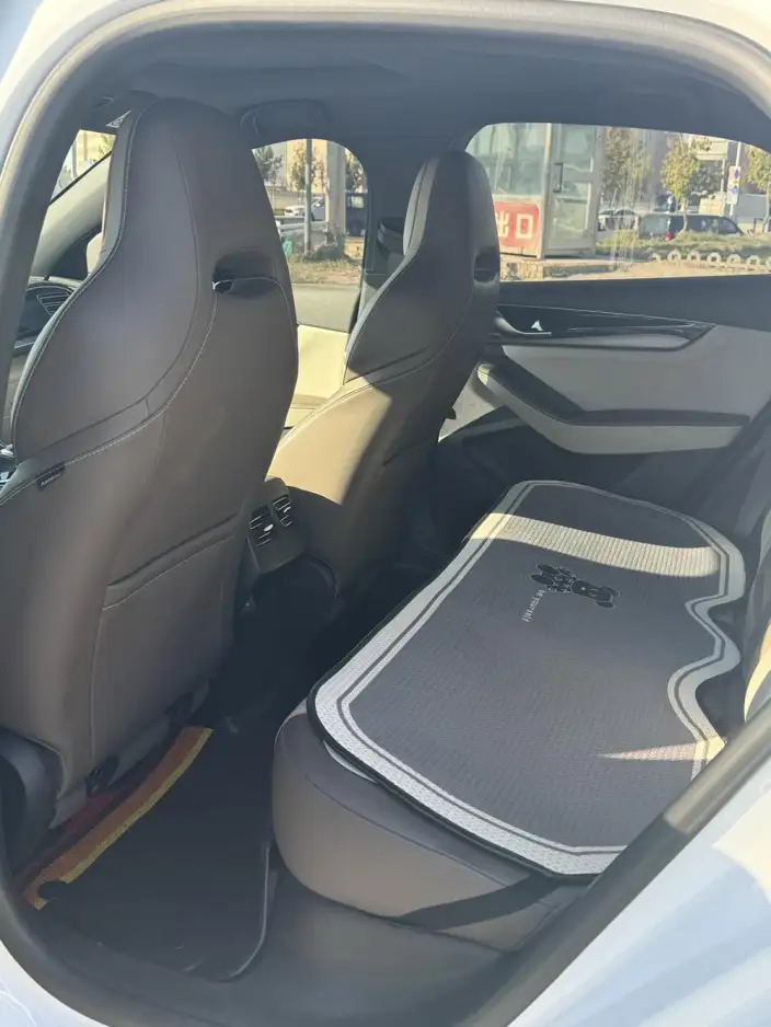 BYD Qin PLUS DM 2023 Model DM-i Champion Edition 120KM Leading Model – фото 7