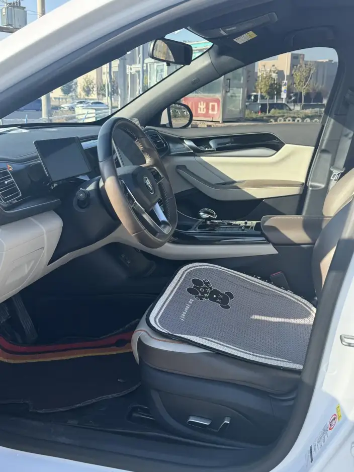 BYD Qin PLUS DM 2023 Model DM-i Champion Edition 120KM Leading Model – фото 8