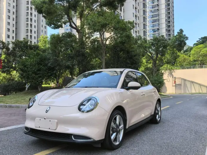ORA Good Cat 2024 Model 401km Zunrong Model – фото 1