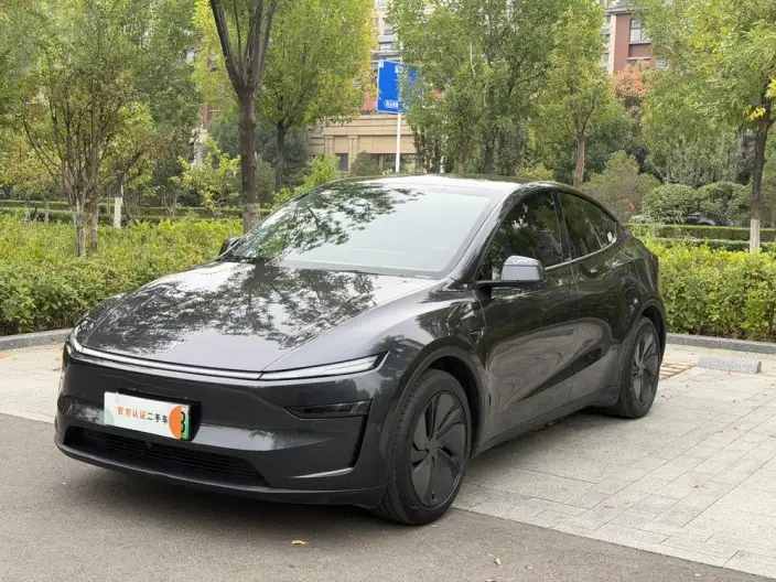 Model Y 2025 Model Rear-wheel drive version – фото 1