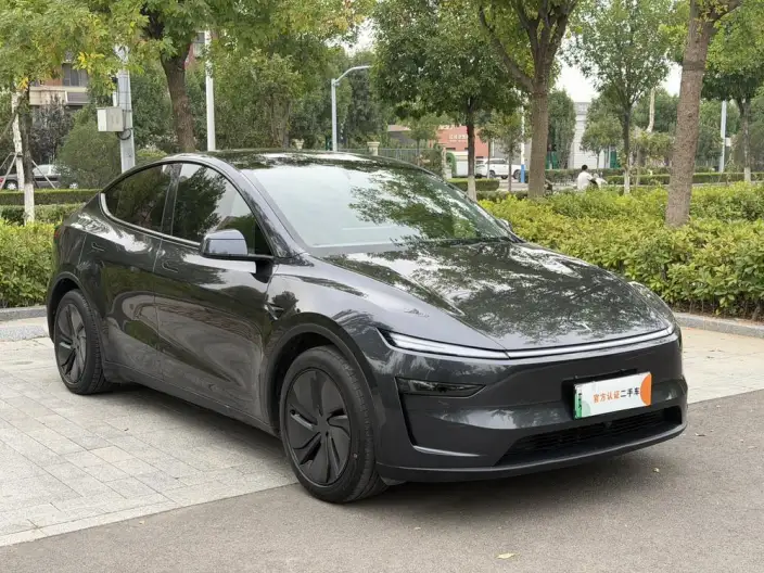Model Y 2025 Model Rear-wheel drive version – фото 3