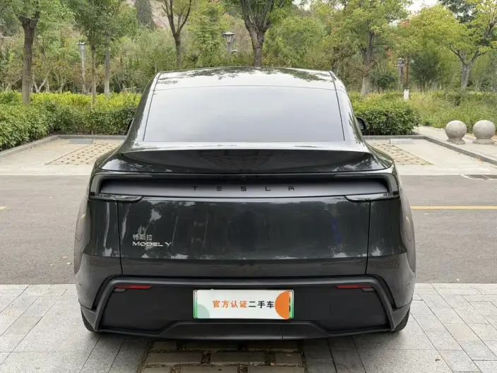Model Y 2025 Model Rear-wheel drive version – фото 5