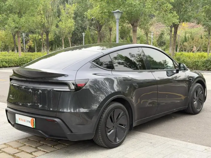 Model Y 2025 Model Rear-wheel drive version – фото 6