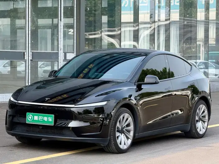 Model Y 2025 Model Long Battery Life Pro All-wheel drive version – фото 1
