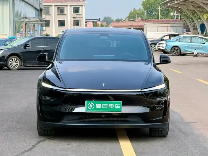 Model Y 2025 Model Long Battery Life Pro All-wheel drive version – фото 2