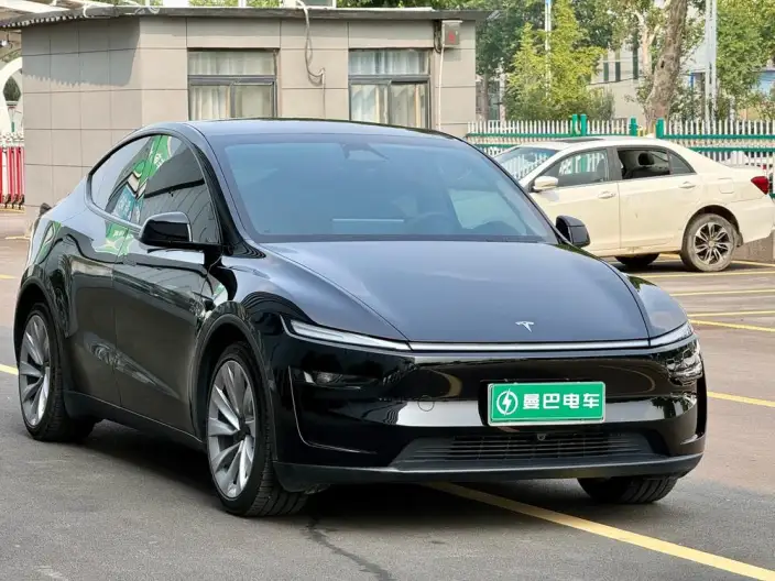 Model Y 2025 Model Long Battery Life Pro All-wheel drive version – фото 3