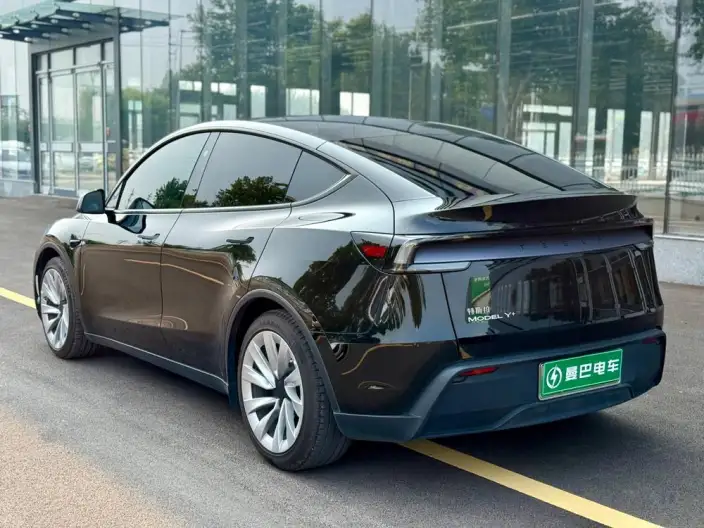 Model Y 2025 Model Long Battery Life Pro All-wheel drive version – фото 5