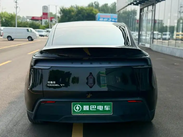 Model Y 2025 Model Long Battery Life Pro All-wheel drive version – фото 6