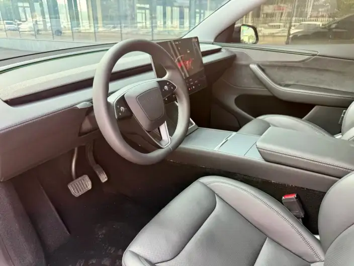 Model Y 2025 Model Long Battery Life Pro All-wheel drive version – фото 9