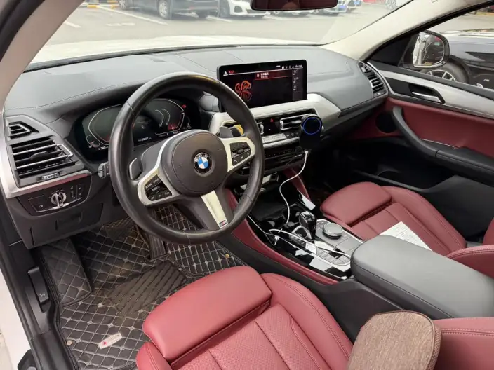 BMW X4 2022 Model xDrive 30i M Sports Set – фото 7