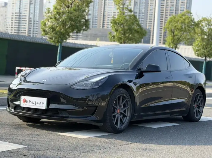 Model 3 2021 Model Standard Battery Life Rear Drive L Class Edition – фото 1