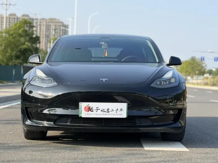 Model 3 2021 Model Standard Battery Life Rear Drive L Class Edition – фото 2