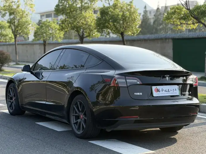 Model 3 2021 Model Standard Battery Life Rear Drive L Class Edition – фото 4