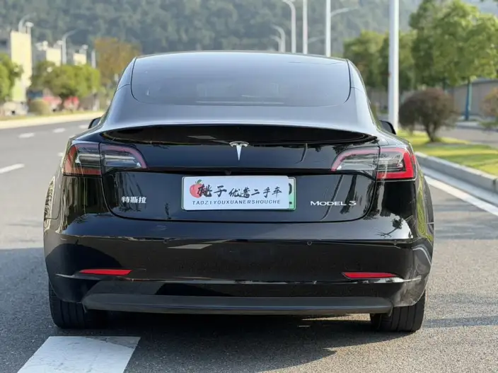 Model 3 2021 Model Standard Battery Life Rear Drive L Class Edition – фото 5