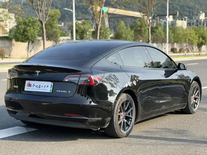 Model 3 2021 Model Standard Battery Life Rear Drive L Class Edition – фото 6
