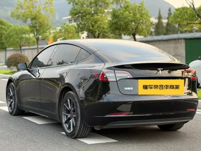 Model 3 2021 Model Standard Battery Life Rear Drive L Class Edition – фото 4
