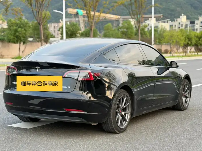 Model 3 2021 Model Standard Battery Life Rear Drive L Class Edition – фото 6
