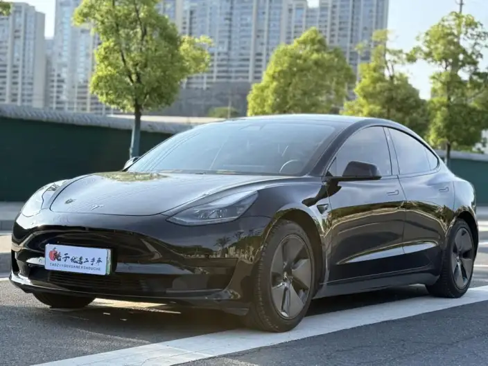 Model 3 2021 Model Standard Battery Life Rear Drive L Class Edition – фото 1