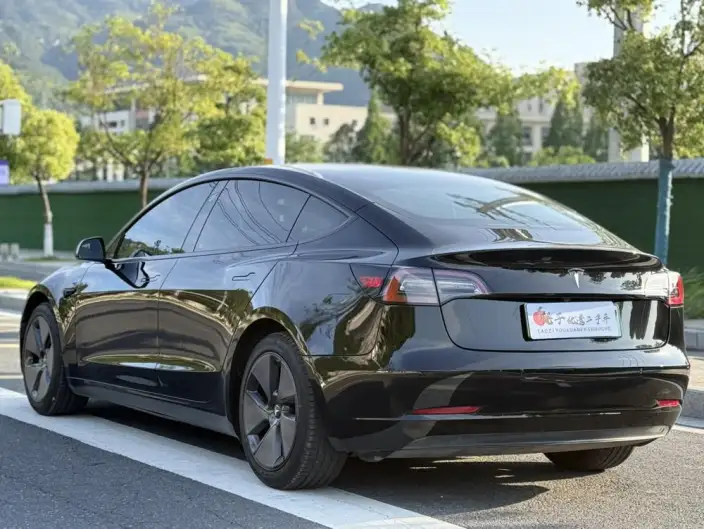 Model 3 2021 Model Standard Battery Life Rear Drive L Class Edition – фото 4
