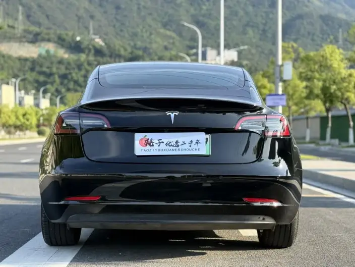 Model 3 2021 Model Standard Battery Life Rear Drive L Class Edition – фото 5