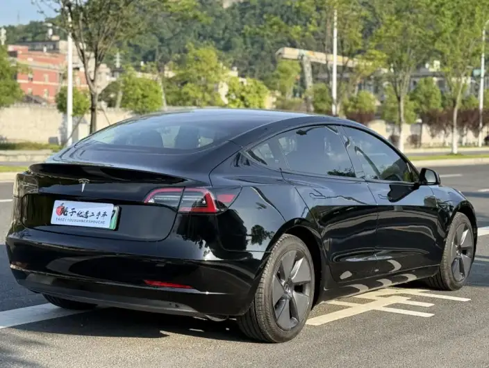 Model 3 2021 Model Standard Battery Life Rear Drive L Class Edition – фото 6