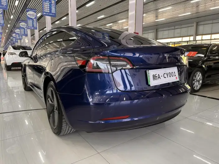 Model 3 2020 Model Standard Battery Life Rear Drive L Class Edition – фото 4