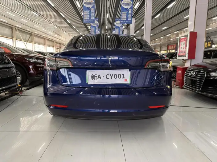 Model 3 2020 Model Standard Battery Life Rear Drive L Class Edition – фото 5