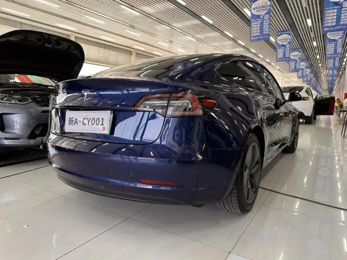 Model 3 2020 Model Standard Battery Life Rear Drive L Class Edition – фото 6