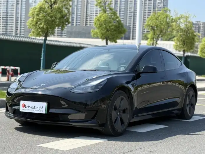 Model 3 2021 Model Standard Battery Life Rear Drive L Class Edition – фото 1