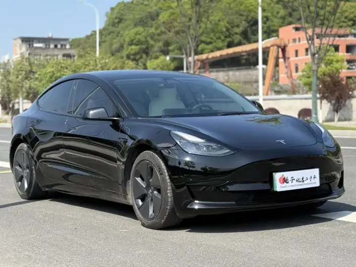 Model 3 2021 Model Standard Battery Life Rear Drive L Class Edition – фото 3