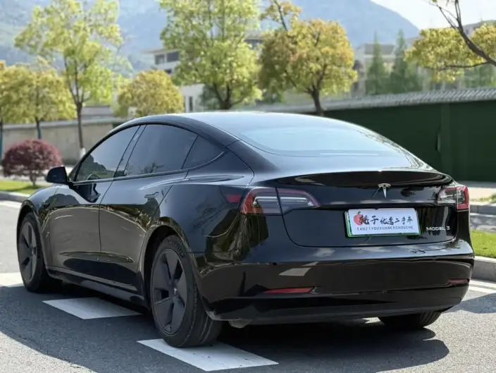 Model 3 2021 Model Standard Battery Life Rear Drive L Class Edition – фото 4