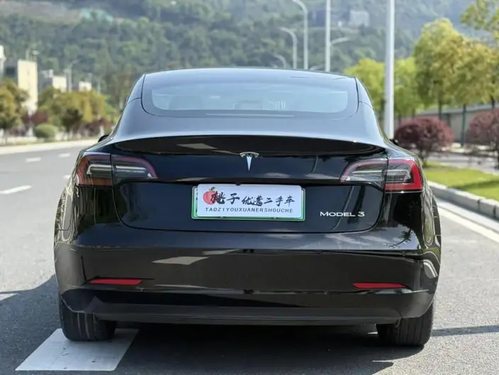 Model 3 2021 Model Standard Battery Life Rear Drive L Class Edition – фото 5
