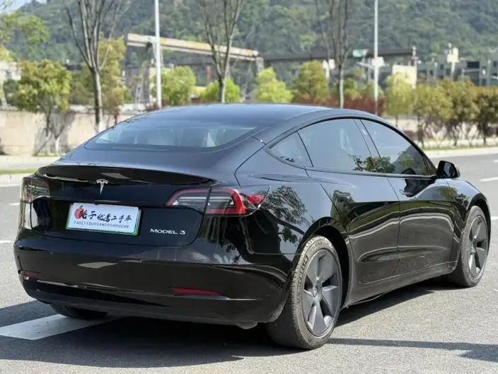 Model 3 2021 Model Standard Battery Life Rear Drive L Class Edition – фото 6