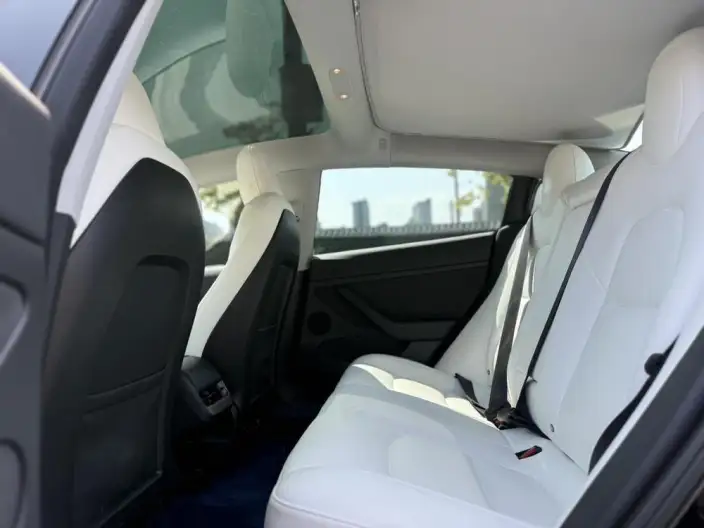 Model 3 2021 Model Standard Battery Life Rear Drive L Class Edition – фото 10