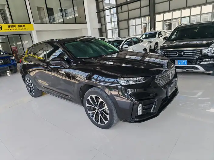 WEY VV7 2020 Model 2.0T Chao Luxury Model